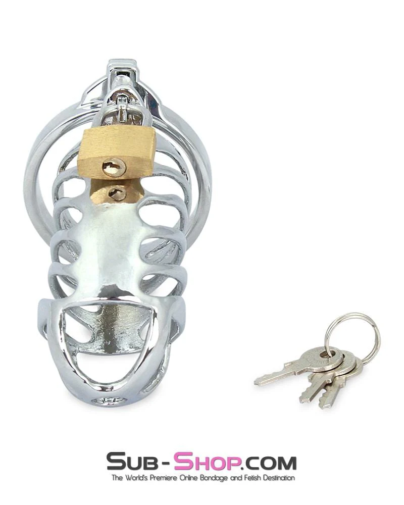 0719M Tiger Cage Locking Steel Penis Chastity Cage 🔥 FINAL CLEARANCE – Last Chance! - Image 3