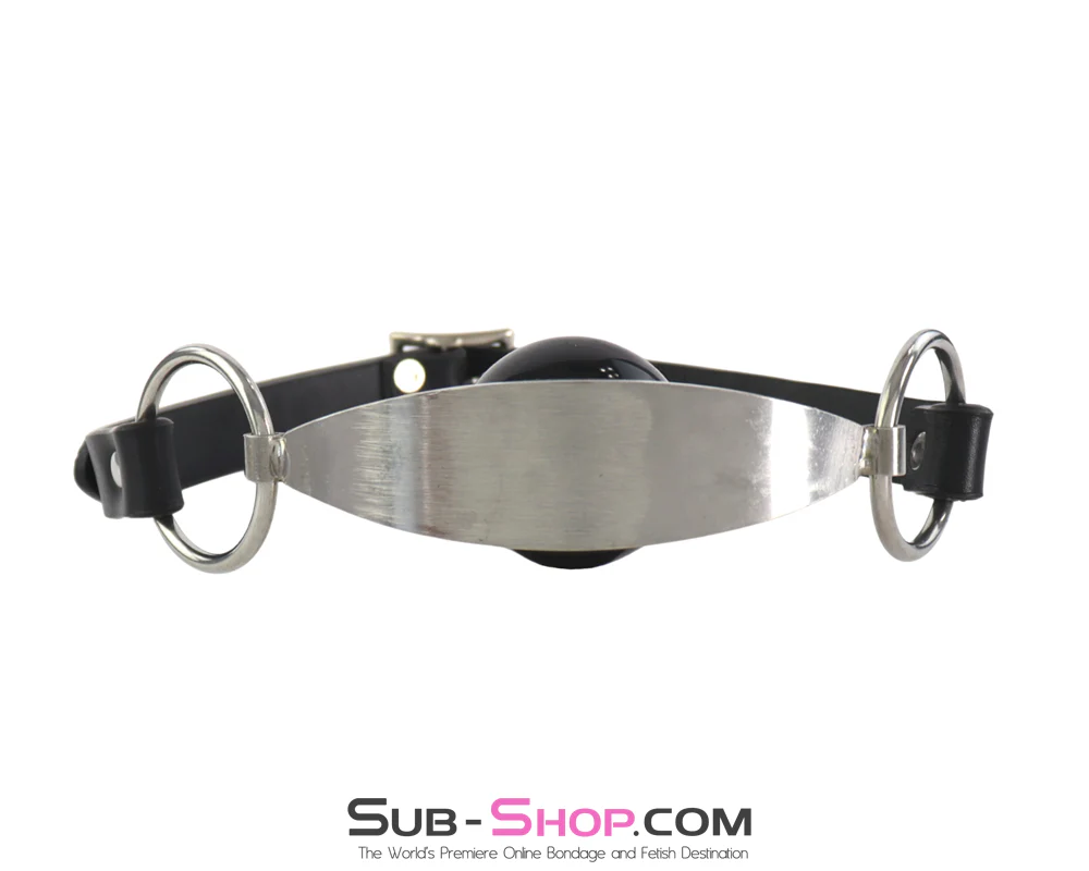0911M  Stainless Steel Panel Ball Gag - Heavy Duty Metal Mouth Gag with O-Rings - Image 4