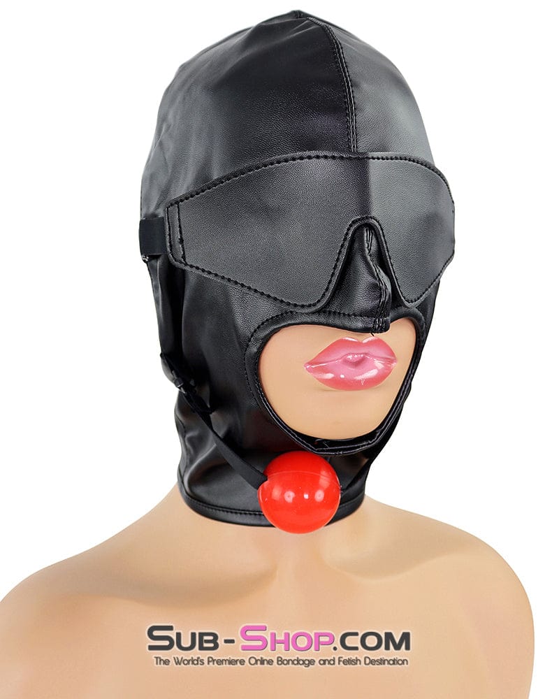 1833DL Soft Lacing Hood with Removeable Blindfold and Ball Gag - Image 7