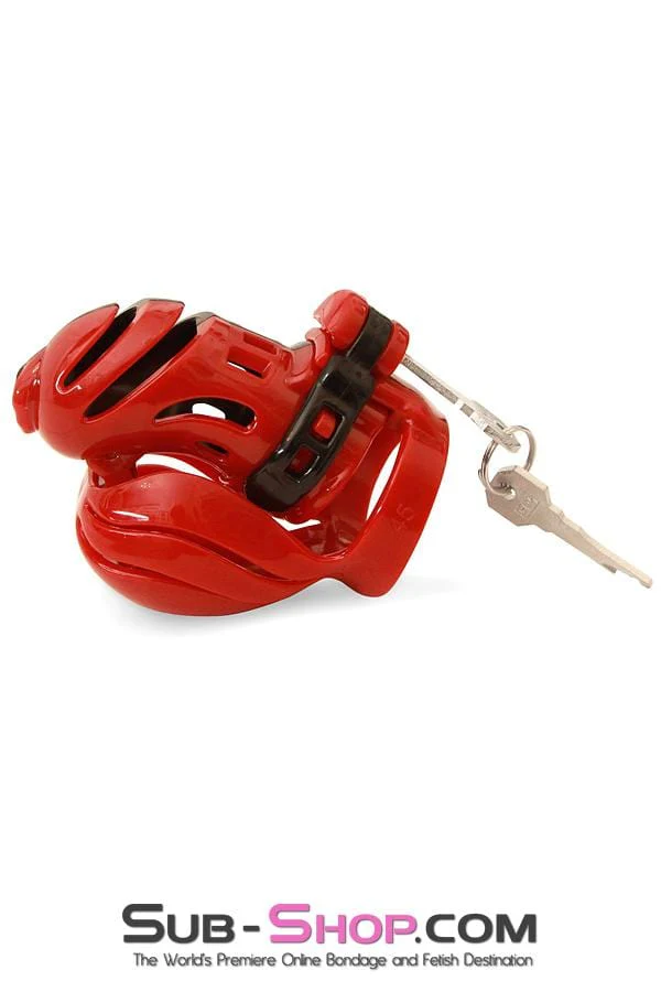 ✨2391M      The Vortex Full Cock and Ball Enclosure High Security Pin Tumbler Cock Cage Chastity - BLACK FRIDAY PREVIEW✨ - Image 2