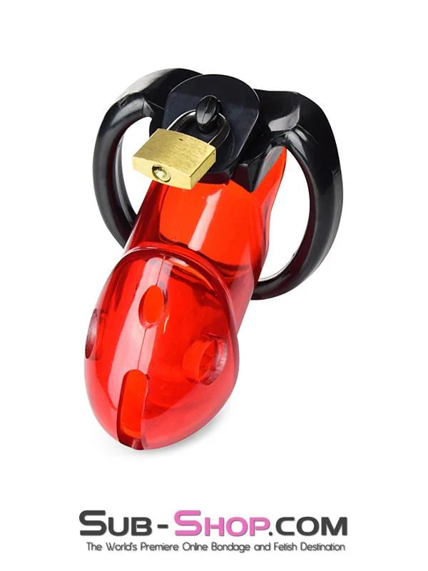 ✨2619R Caught Red Handed Locking Cock & Ball Chastity Set - BLACK FRIDAY PREVIEW✨ - Image 2