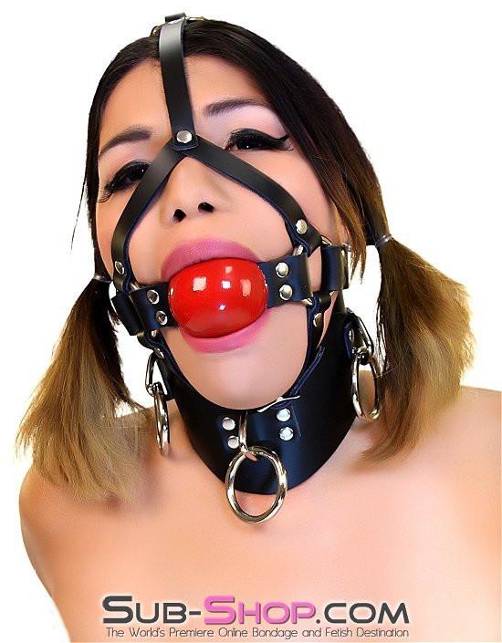 0450A 2” Leather Ball Gag Trainer, Candy Apple Red Ball - Image 5