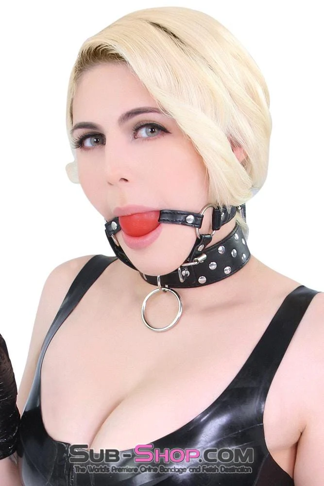 7865DL Beginner’s Chin Strap Bondage Ball Gag