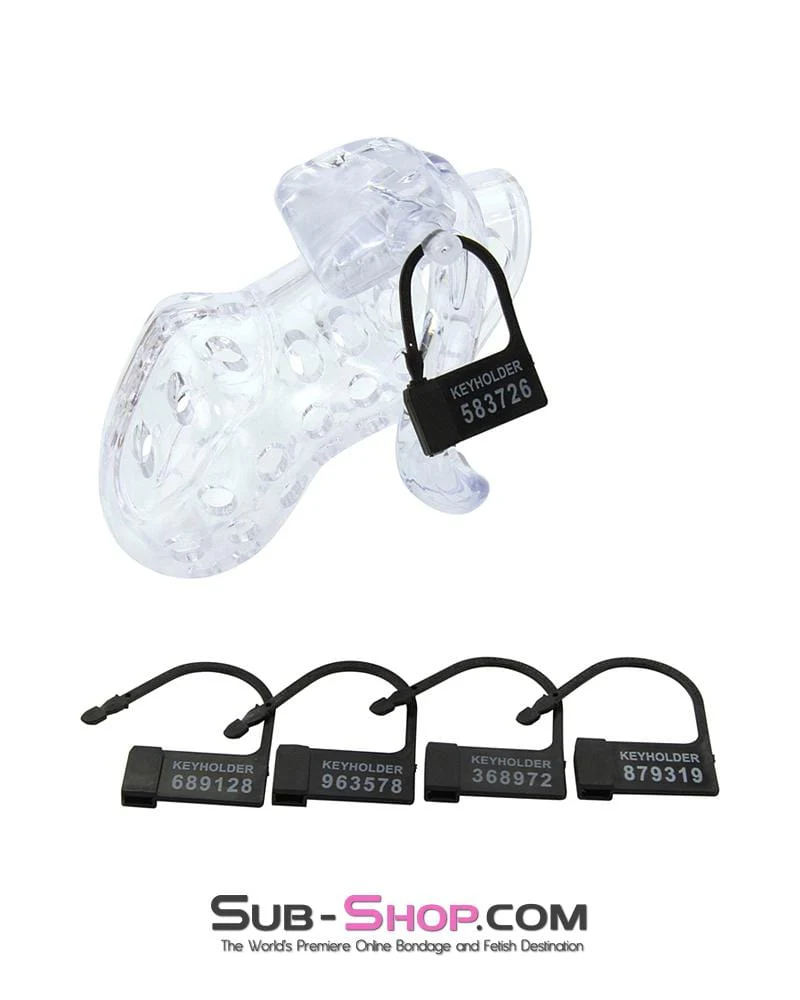 1422AR Boy Toy Clear High Security Pin Tumbler Locking Cock Cage Chastity - Image 10