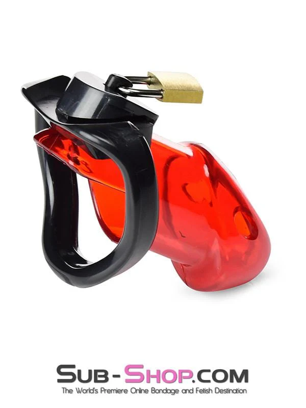 2619R Caught Red Handed Locking Cock & Ball Chastity Set - Image 4