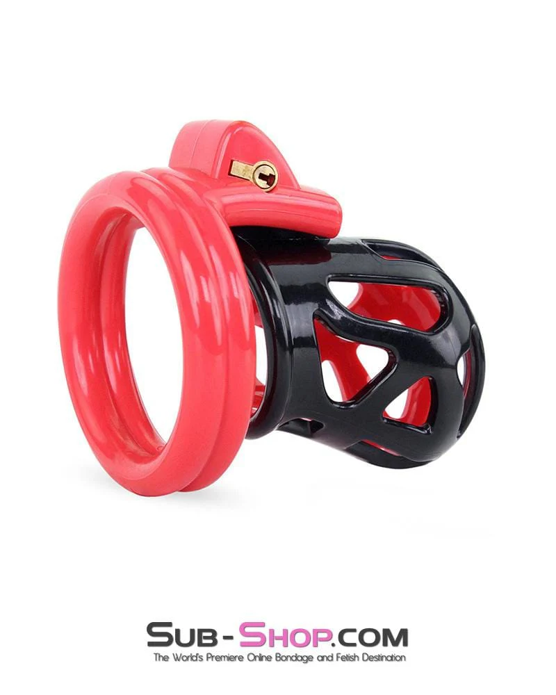 3445AE-SIS Chastity Sissy Cocktease and Torment Sensation Cage High Security Locking Male Chastity Device - Image 3