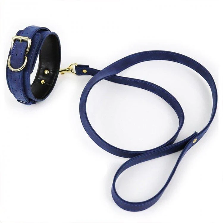 2376M Deep Blue Gold Standard Padded Supple Collar and Leash Set - Image 4