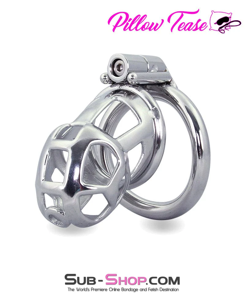 1478AR-SIS Denied in Steel Male Teasing Sissy Chastity Cage