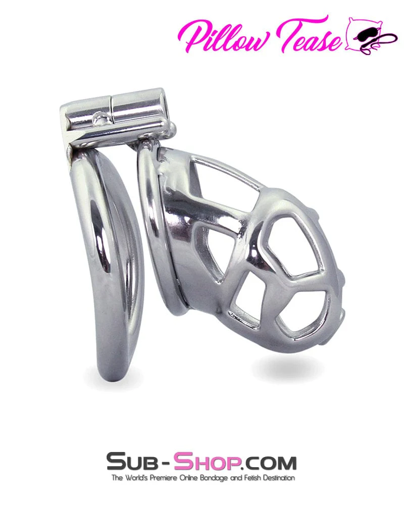 1478AR-SIS Denied in Steel Male Teasing Sissy Chastity Cage - Image 2