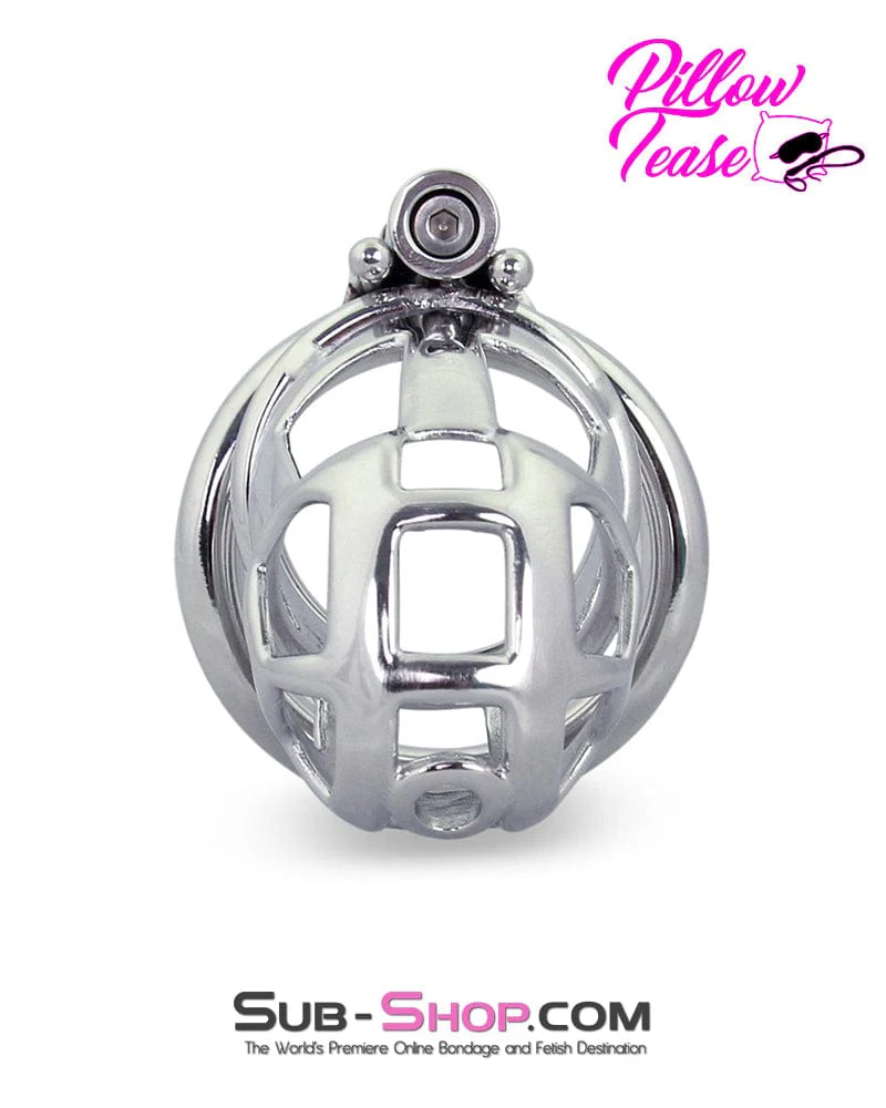 1478AR-SIS Denied in Steel Male Teasing Sissy Chastity Cage - Image 4