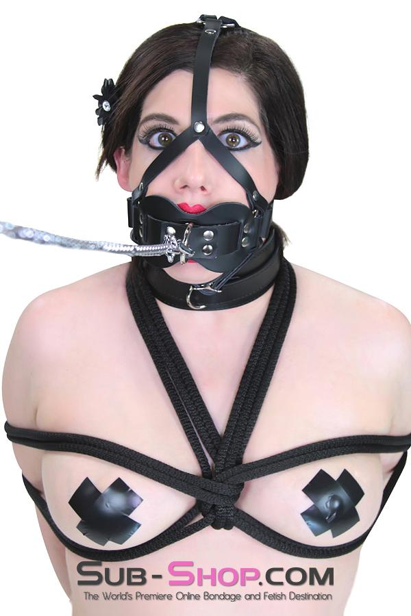 3413A      Double Mouth Guard Gag Trainer - Image 9