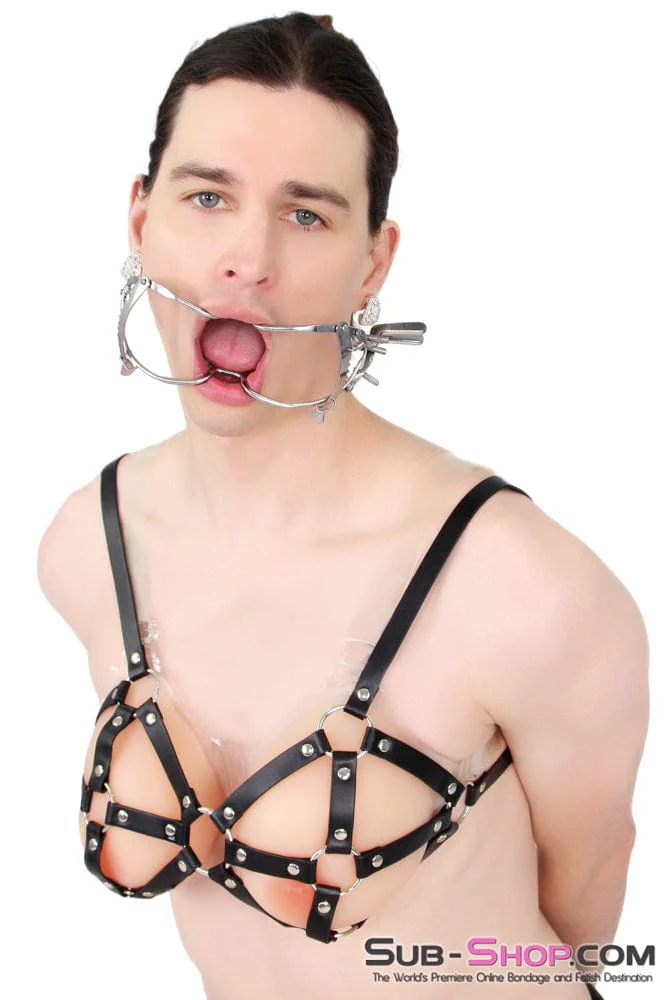 0486S-SIS Open Wide Sissy Metal Mouth Gag Spreader - Adjustable Open Mouth Restraint - Image 13