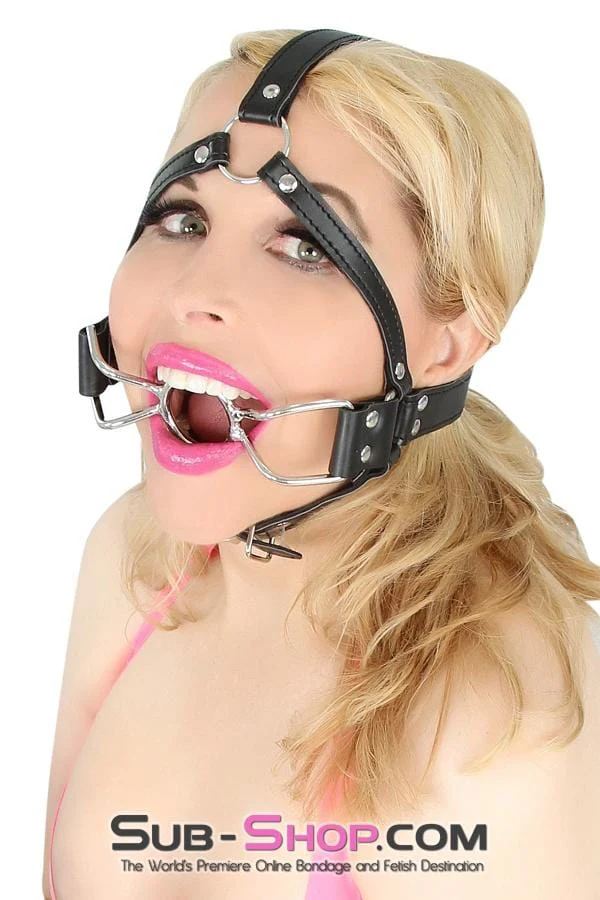 8997DL French Kiss Trainer Open Mouth Ring Gag - MEGA Deal - Image 9