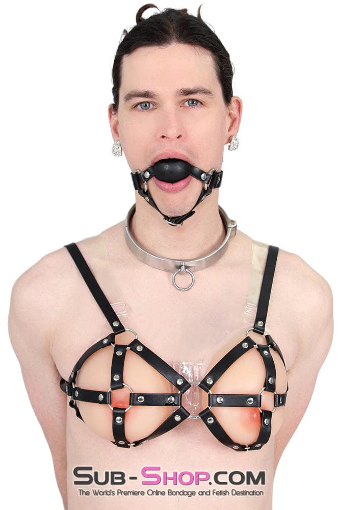9877RS      Gia Real Feel Silicone Breast Forms with Nipples and Clear Straps, DD Cup - Image 35