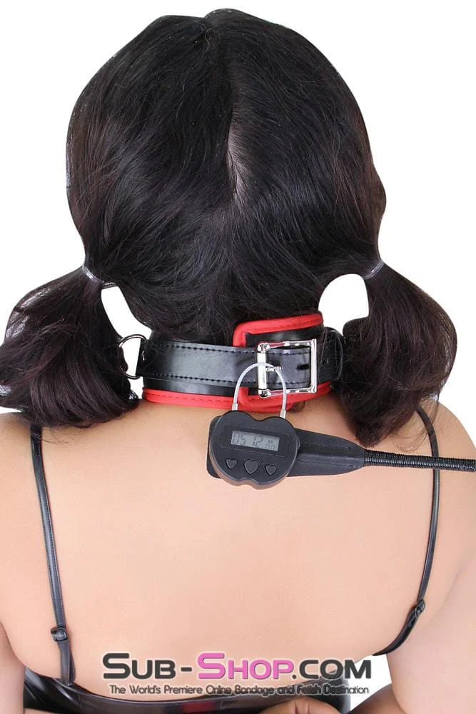 2747M Time Lock USB Rechargeable Lock, The Ultimate Self Bondage Lock, Heart Shaped - Image 10