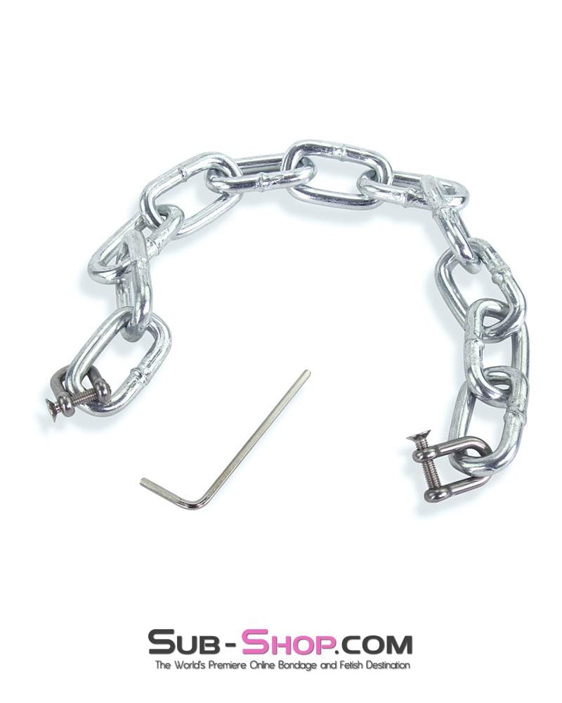 5765M High Security Hex Key Screw Heavy Bondage Gear Chain Connection - Image 3