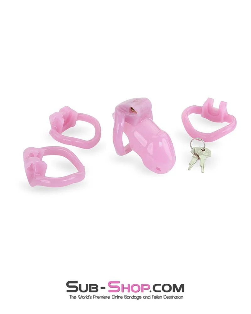 3744AE      <b>BOGO!</b> Little Sissy Bitch Short High Security Keyed Tumbler Locking Male Chastity with 4 Base Cock Ring Sizes - Image 6
