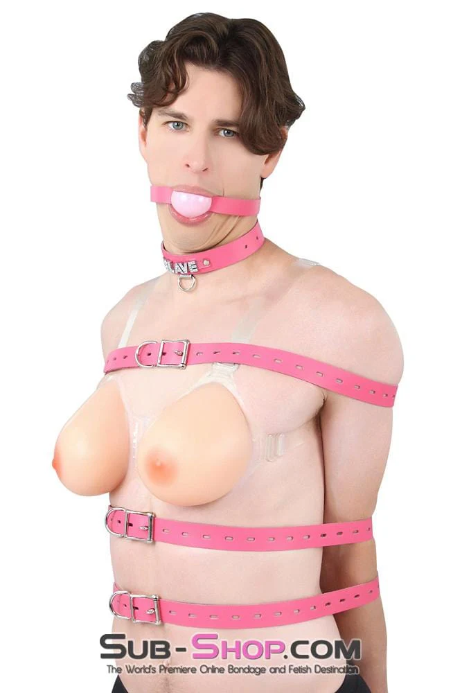 4787A-SIS Locking Feminization Sissy Chastity Pretty Pink Sissy Leather Bondage Straps - 4 Sizes! - Image 7