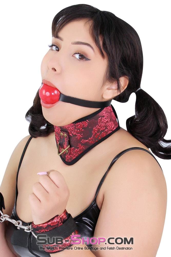 7918DL-SIS      Lusty Sissy Submissive Sissy Crossdressing Wench Brocade Lacing Chevron Style Bondage Collar with Leash - Image 18