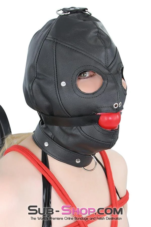 8814RS      Matte Punishment Hood with Collar and Removable Blindfold & Gag - Image 16
