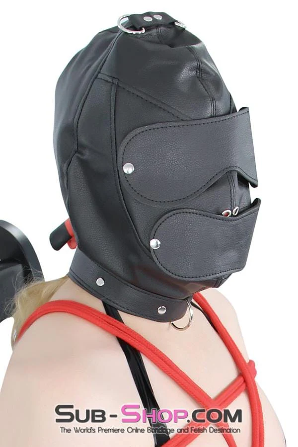 8814RS      Matte Punishment Hood with Collar and Removable Blindfold & Gag - Image 7