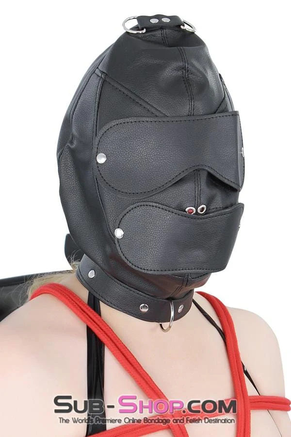 8814RS      Matte Punishment Hood with Collar and Removable Blindfold & Gag - Image 9