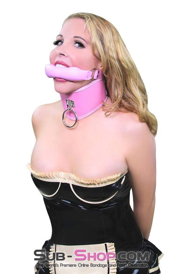 8976DL-SIS Pink Sissy Boi Crossdressing Pet Posture Collar with Female Top Leash Set - Image 10