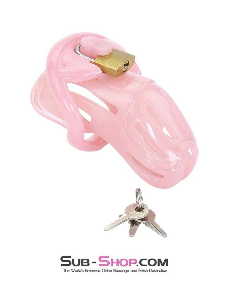 1533AR Prison Bitch Pink Jailhouse Cock Locking Male Chastity Cage - MEGA Deal