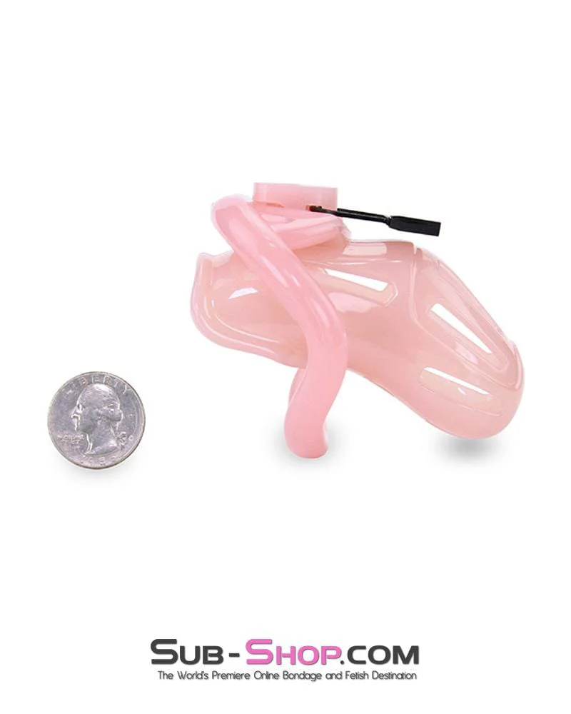 1533AR Prison Bitch Pink Jailhouse Cock Locking Male Chastity Cage - MEGA Deal - Image 8