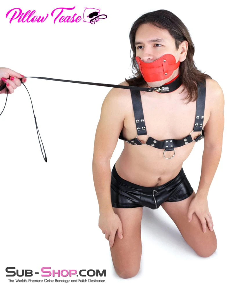 0975DL Red Fur Lined Bondage Slave Collar and Leash Set - Image 12