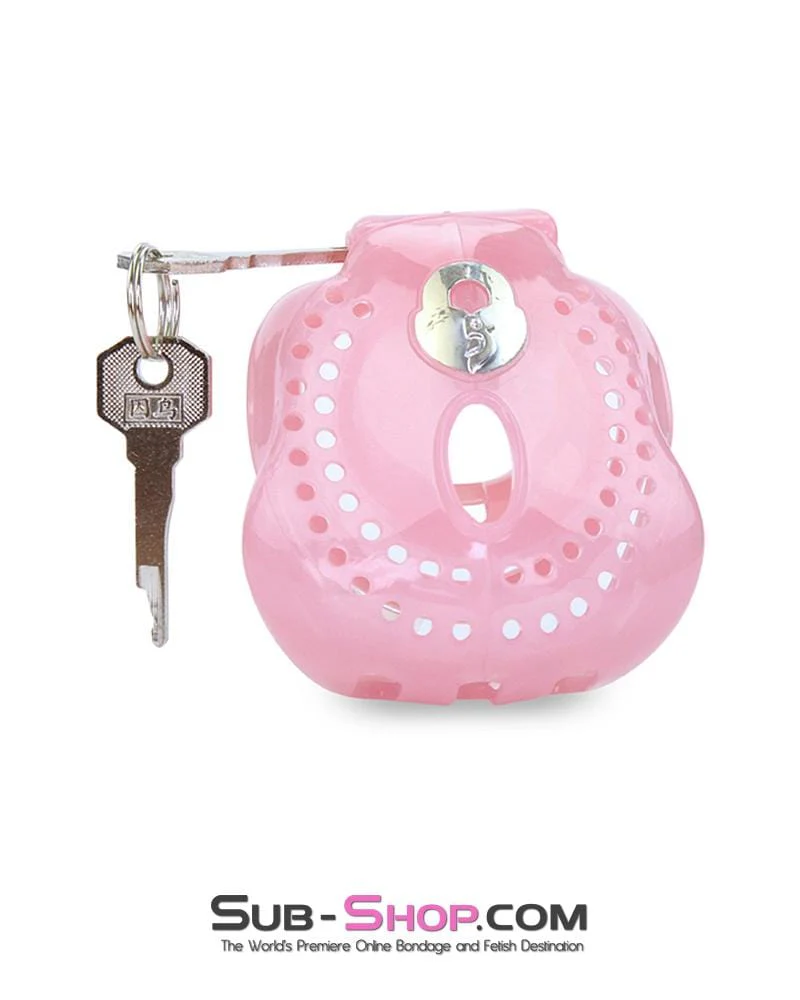 1587AR-SIS Small Sissy Dungeon Cage Pink High Security Full Coverage Male Chastity Device - Image 4