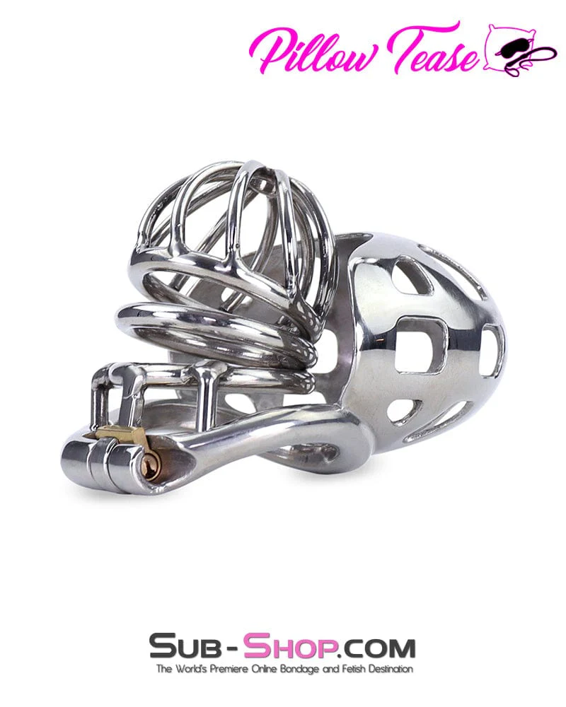 0974AR-SIS Steel Ball Trap Wire Mesh Teasing Sissy Cock Cage Chastity - Image 9