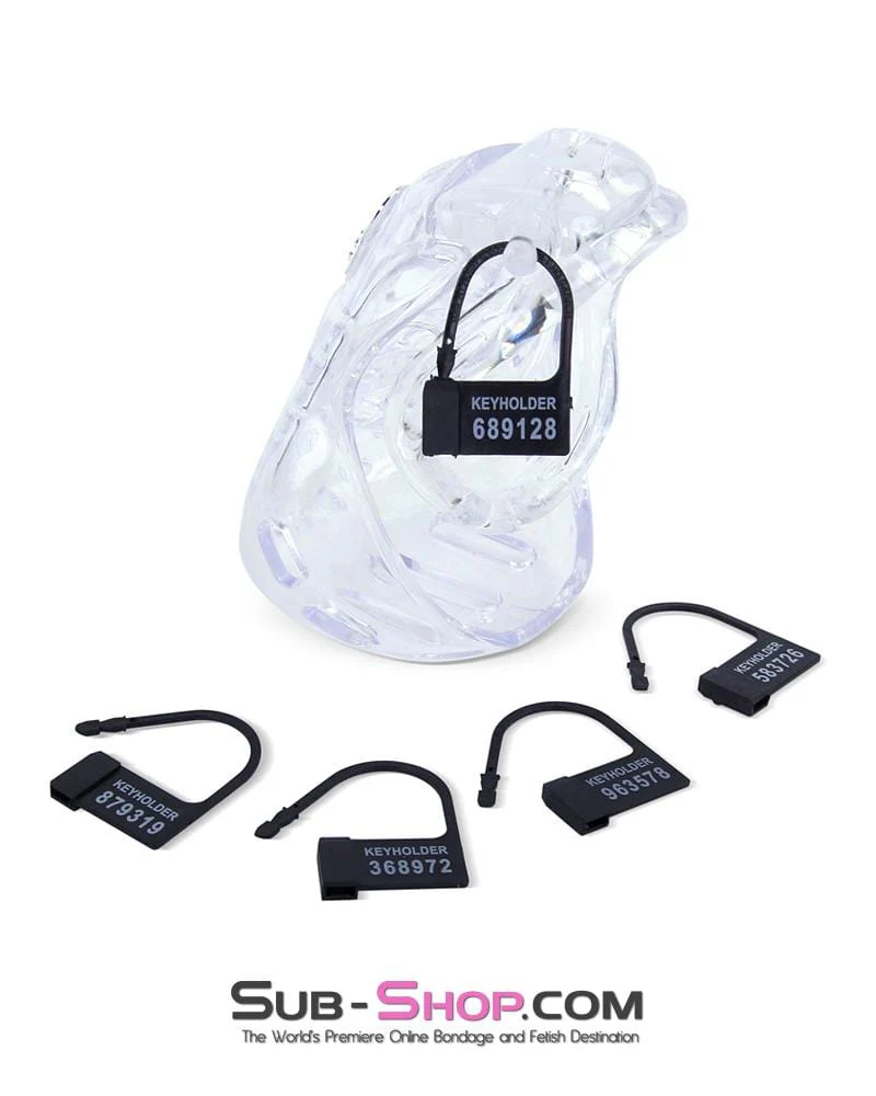 6964AE-SIS      Sissy Bitch Large Dungeon Cage Clear High Security Full Coverage Male Chastity Device - Image 5