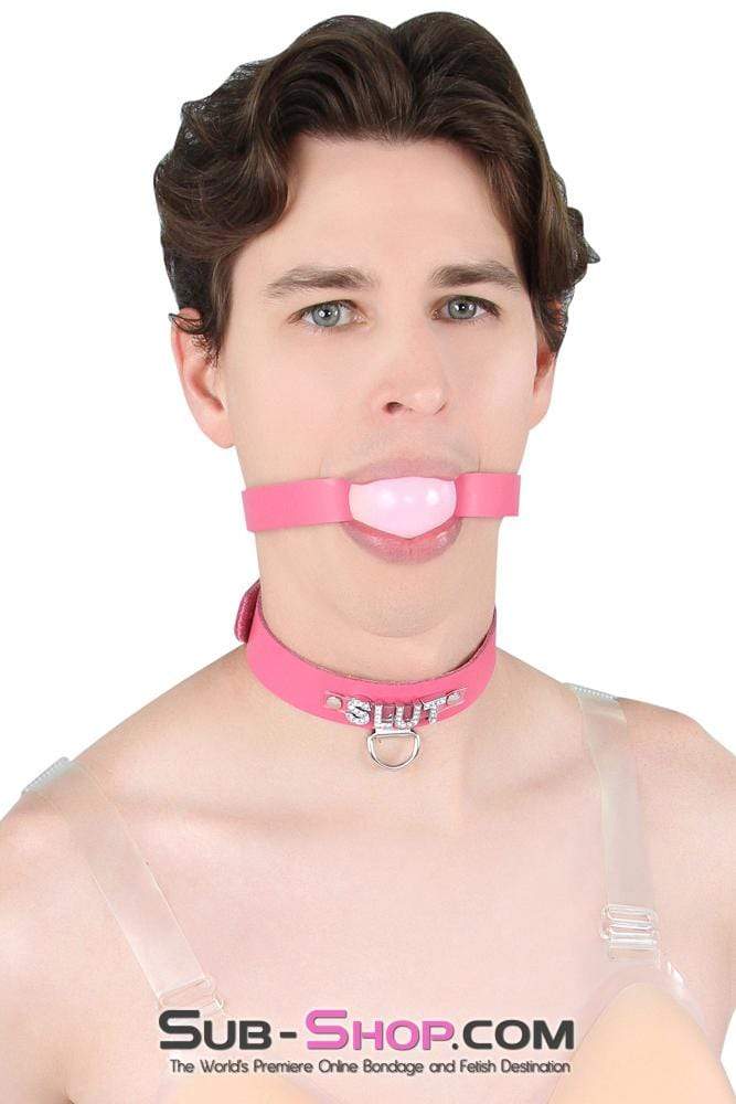 2541A-SIS      Sissy Boi Bitch Hot Pink Classic Leather Ball Gag Dominant Woman Strap, Candy Pop Pink Ball - Image 11