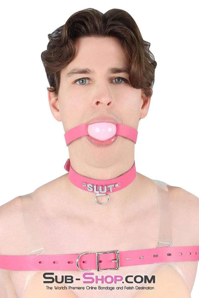 2541A-SIS      Sissy Boi Bitch Hot Pink Classic Leather Ball Gag Dominant Woman Strap, Candy Pop Pink Ball - Image 15