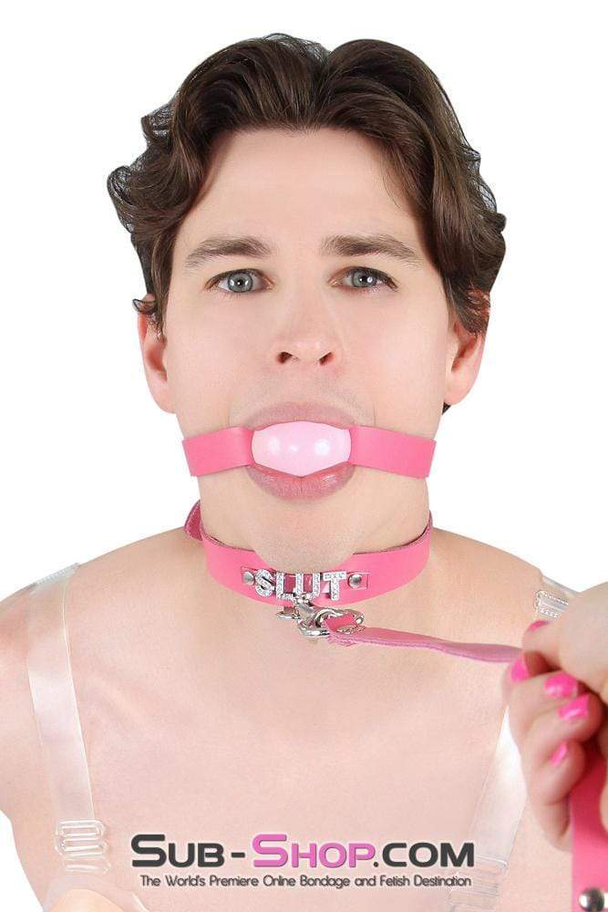 2541A-SIS      Sissy Boi Bitch Hot Pink Classic Leather Ball Gag Dominant Woman Strap, Candy Pop Pink Ball - Image 8