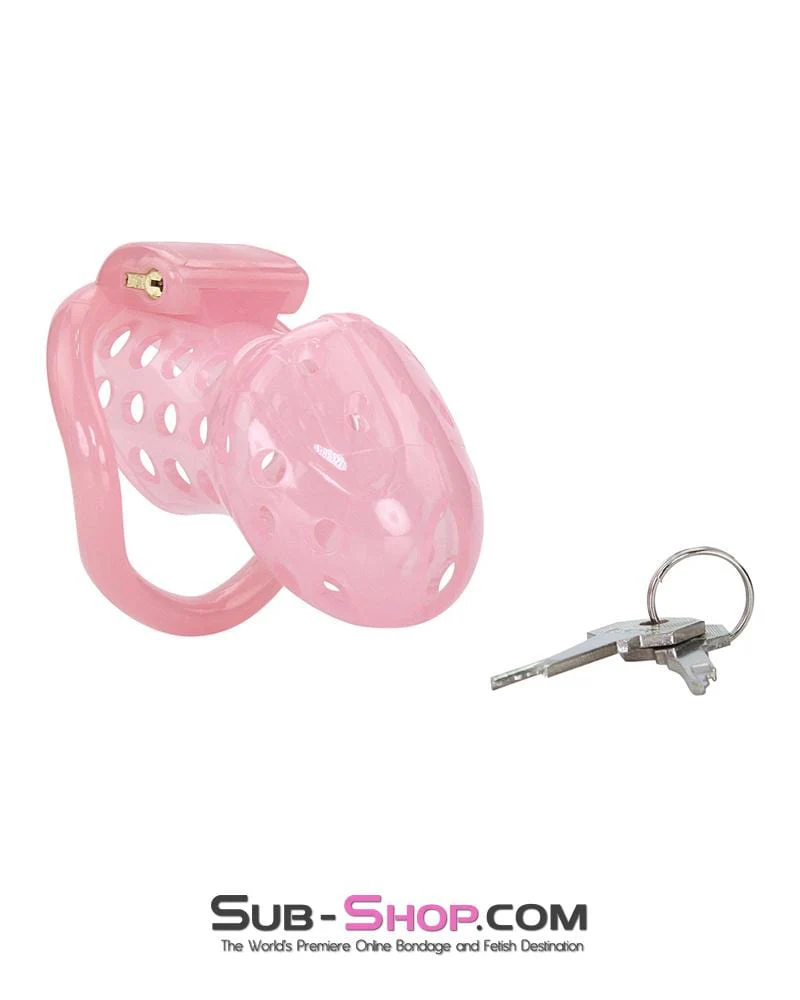 1432AR      Sissy Boy Toy Pink High Security Pin Tumbler Locking Cock Cage Chastity - Image 6