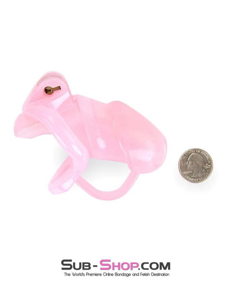 1358AR      Sissy Cock Blocker Silicone Tease and Torment Locking Male Chastity with Ball Divider - Image 7