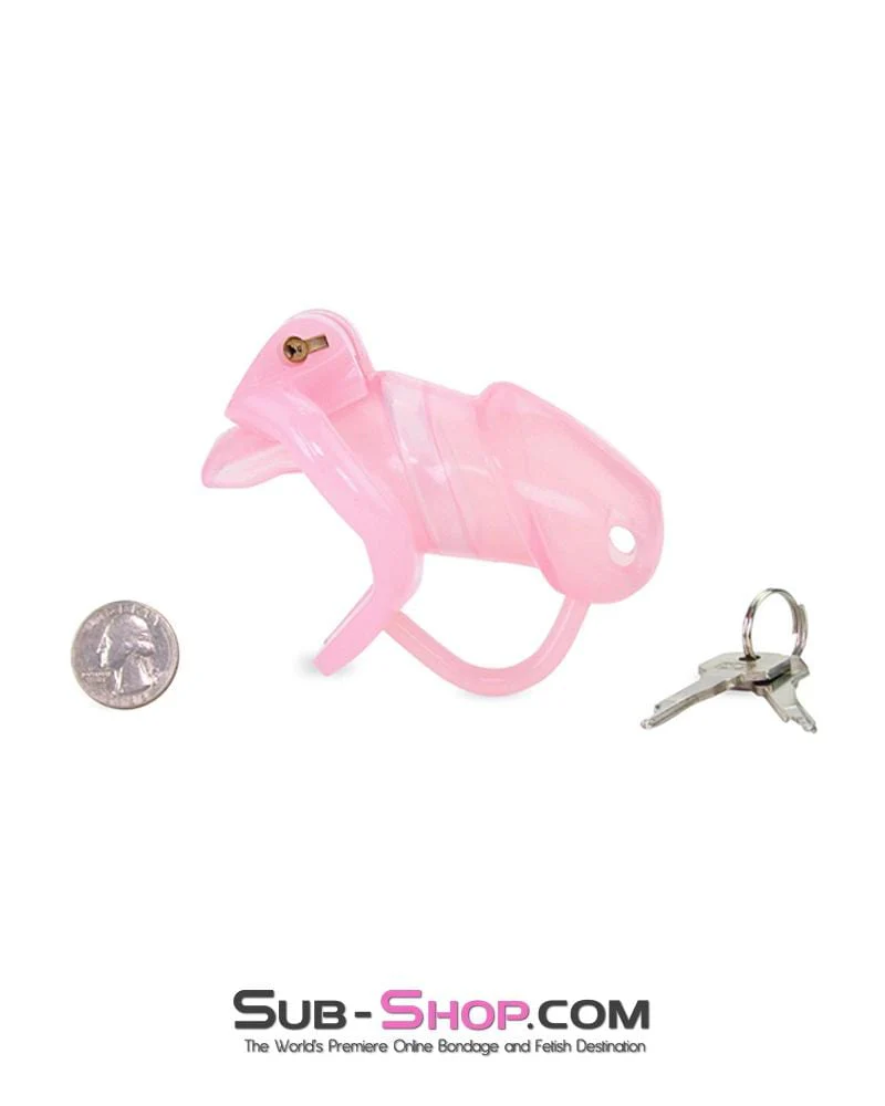 1358AR      Sissy Cock Blocker Silicone Tease and Torment Locking Male Chastity with Ball Divider - MEGA Deal - Image 14
