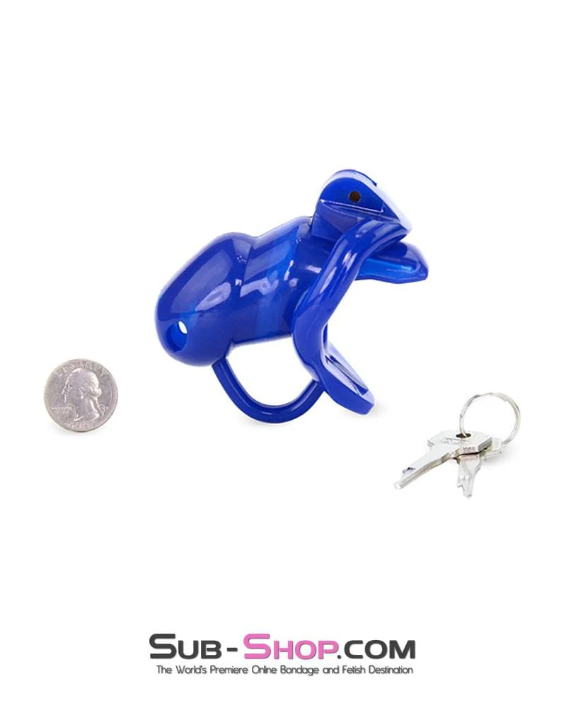 1386AR-SIS Sissy Cocktease Blue Balls High Security Locking Male Chastity Device with Ball Divider - Image 10