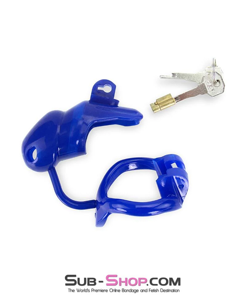 1386AR-SIS Sissy Cocktease Blue Balls High Security Locking Male Chastity Device with Ball Divider - Image 9