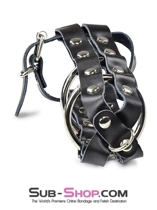 1797DL-SIS Sissy Minx Lockable Cock & Balls Cage with Lead Ring Tip - Image 4