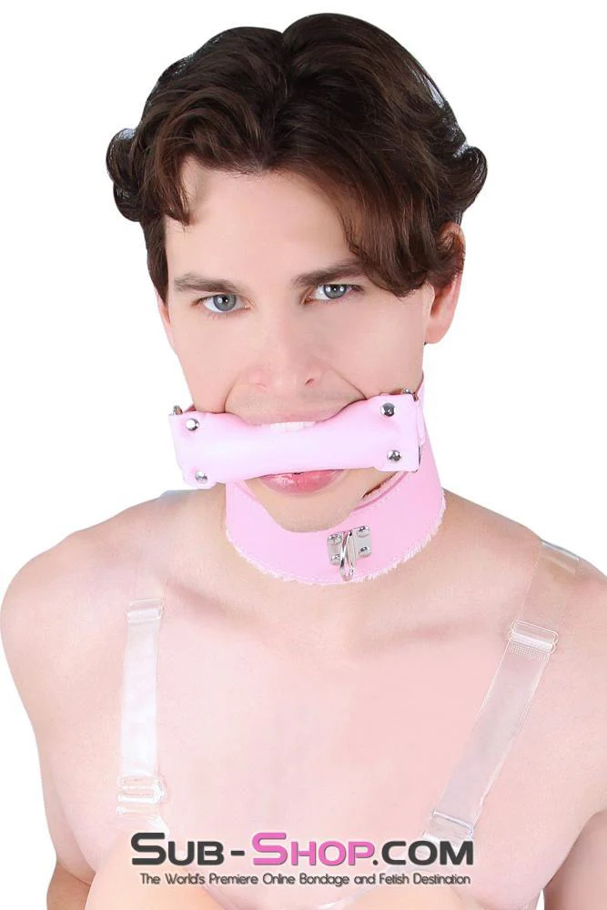 8956DL-SIS Sissy Slave Harlot Sissy Hypnosis Stuffed Pink Bit Gag - Image 2
