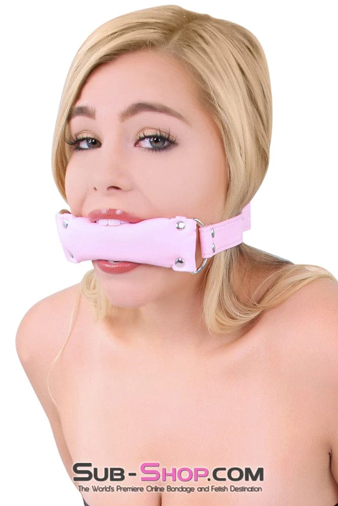 8956DL-SIS Sissy Slave Harlot Sissy Hypnosis Stuffed Pink Bit Gag - Image 32