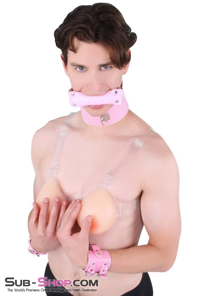 8956DL-SIS Sissy Slave Harlot Sissy Hypnosis Stuffed Pink Bit Gag - Image 7