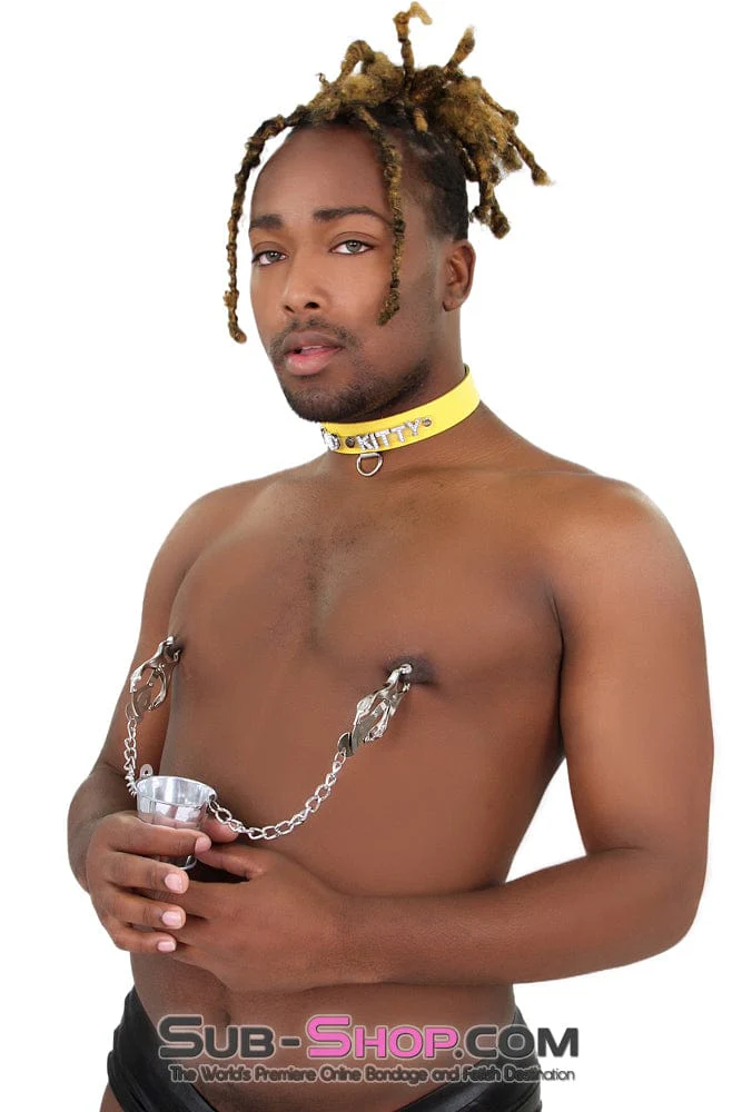 6875M      Slave's Burden Labia and Nipple Clamps with Weight Bucket 🔥 FINAL CLEARANCE – Last Chance! - Image 5