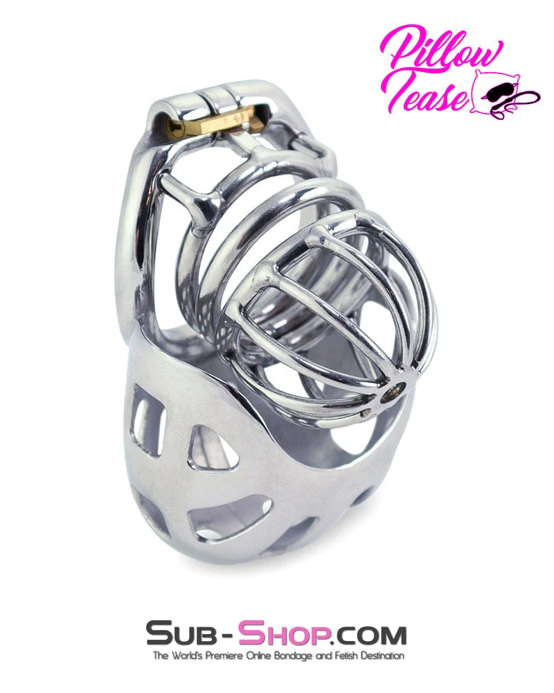0974AR Steel Ball Trap Wire Teasing Cock Cage Chastity