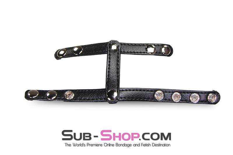 1554M      T-Style Cock Ring with Ball Divider Strap - Image 5
