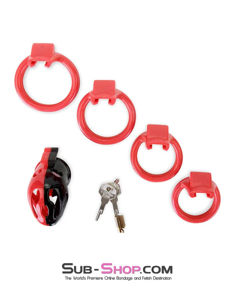 7345M The Master Lock Locking Chastity Cage - Image 13