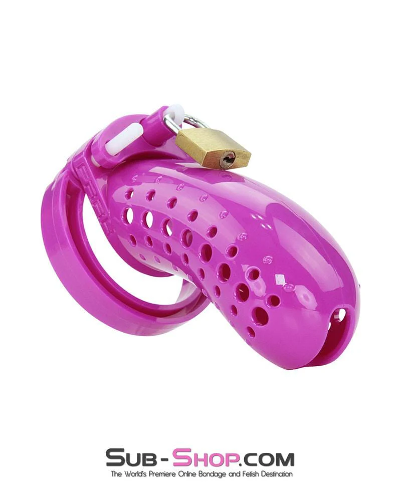 1603AR The Stockade Purple Cage Male Chastity Device - Image 2